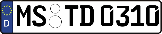 MS-TD0310