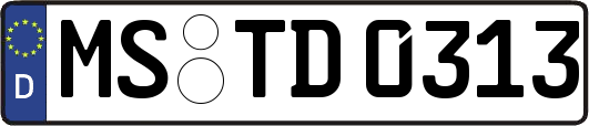 MS-TD0313