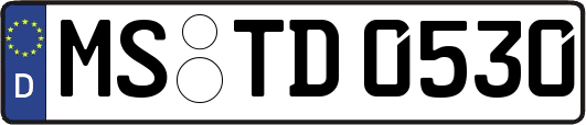 MS-TD0530