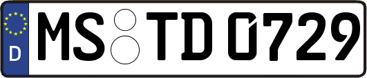 MS-TD0729