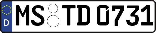 MS-TD0731