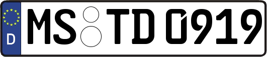 MS-TD0919