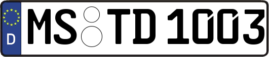 MS-TD1003