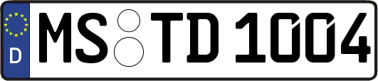 MS-TD1004