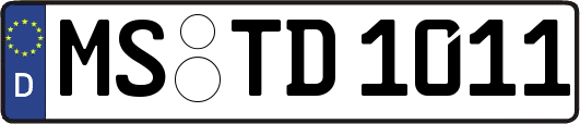 MS-TD1011