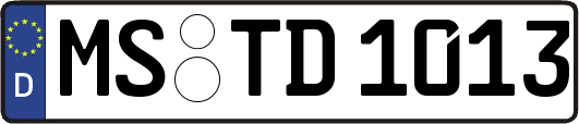 MS-TD1013