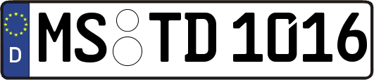 MS-TD1016