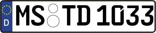 MS-TD1033