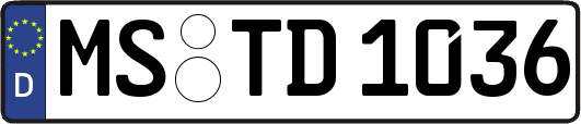 MS-TD1036