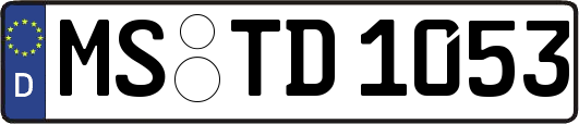 MS-TD1053