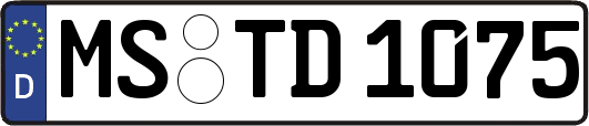 MS-TD1075