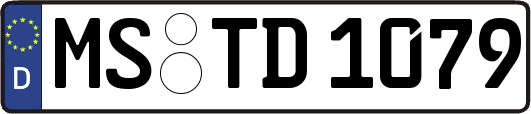 MS-TD1079