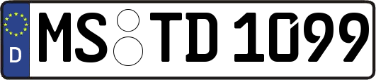 MS-TD1099