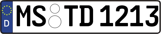 MS-TD1213