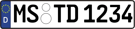 MS-TD1234