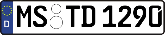 MS-TD1290