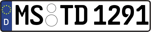 MS-TD1291
