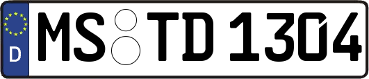 MS-TD1304