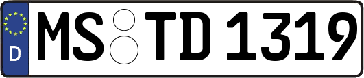 MS-TD1319