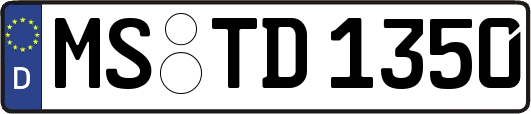 MS-TD1350