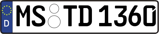 MS-TD1360