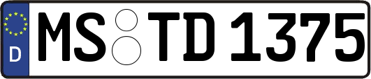 MS-TD1375