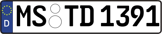 MS-TD1391
