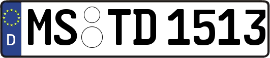 MS-TD1513