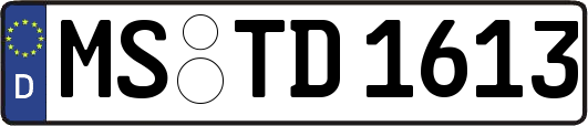 MS-TD1613