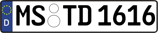 MS-TD1616