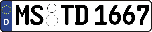 MS-TD1667