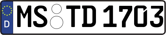 MS-TD1703