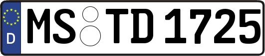 MS-TD1725