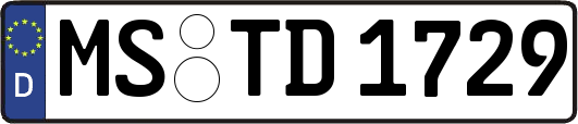 MS-TD1729