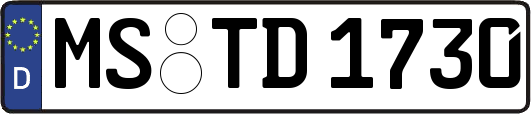MS-TD1730