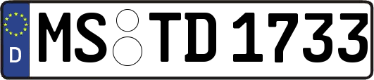 MS-TD1733