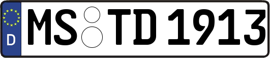 MS-TD1913