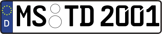 MS-TD2001