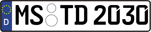 MS-TD2030