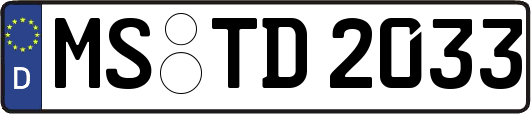 MS-TD2033