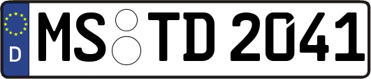 MS-TD2041