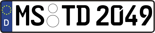 MS-TD2049