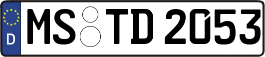 MS-TD2053