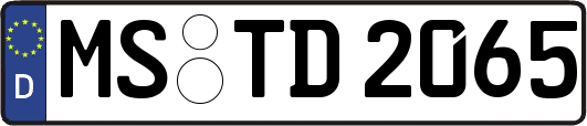 MS-TD2065