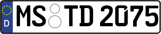 MS-TD2075