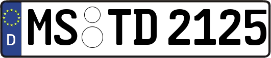 MS-TD2125