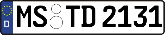 MS-TD2131