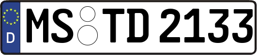 MS-TD2133
