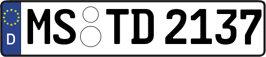 MS-TD2137