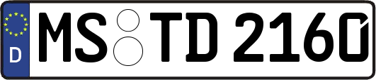 MS-TD2160